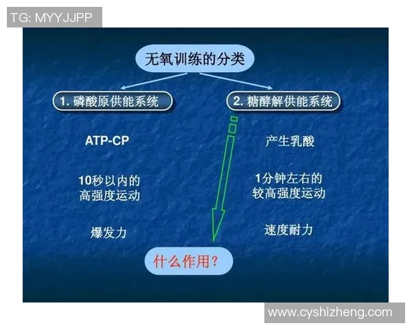 体育实时数据武汉羽毛球队反击体系解析与战术运用探讨